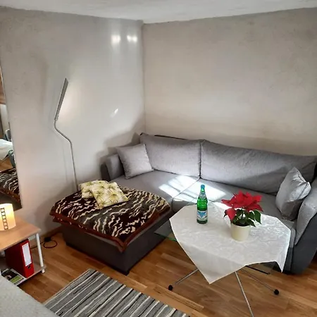 Ferienwohnung Alsbach Саарбрюккен Экстерьер фото